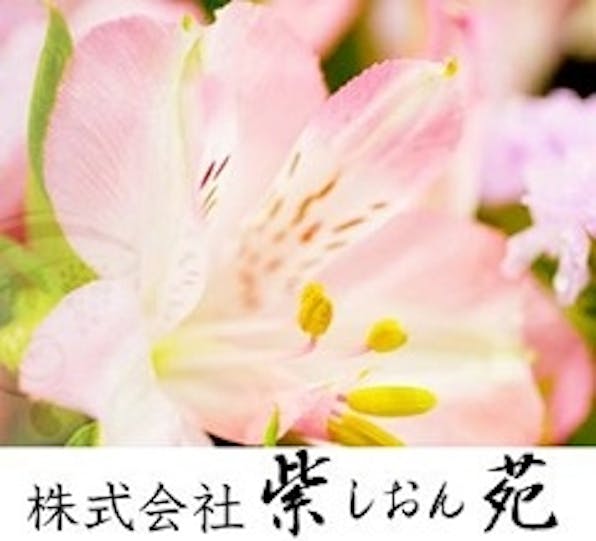 株式会社紫苑