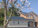 天国社 高崎ピクシー邸 桜想