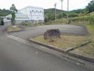 亀岡市営火葬場